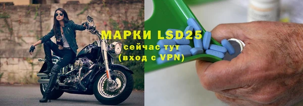 МДПВ Бородино