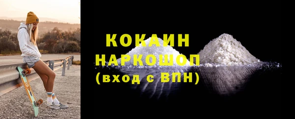 МДПВ Бородино