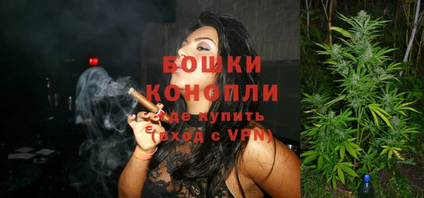 МДПВ Бородино