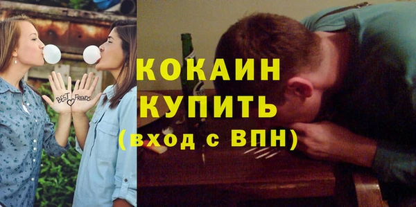 МДПВ Бородино