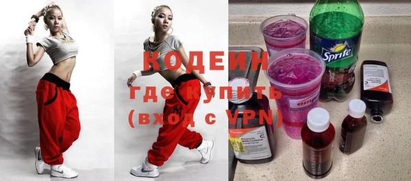 МДПВ Бородино