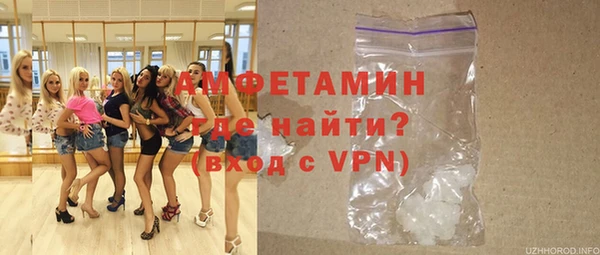 МДПВ Бородино